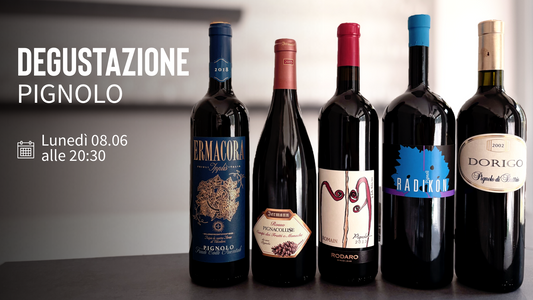 Degustazione dedicata al Pignolo
