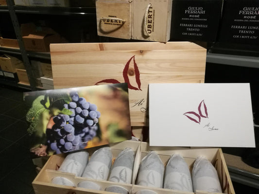 Barbera d' Asti Ai Suma 2015 DOCG Braida di Bologna Giacomo cassa edizione speciale da 6 bottiglie